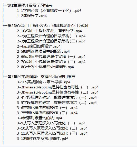 海量數(shù)據(jù)高并發(fā)場景 構(gòu)建Go+ES8企業(yè)級(jí)搜索微服務(wù) 視頻教程 下載 圖1